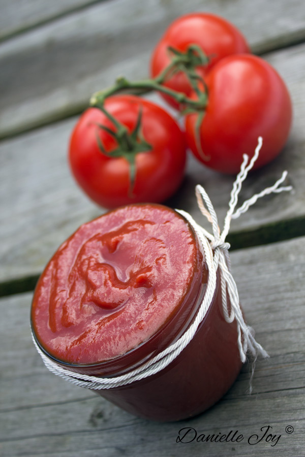 Sugar-free Tomato Ketchup